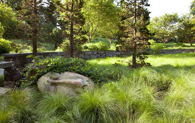 Prairie Dropseed - Image 3
