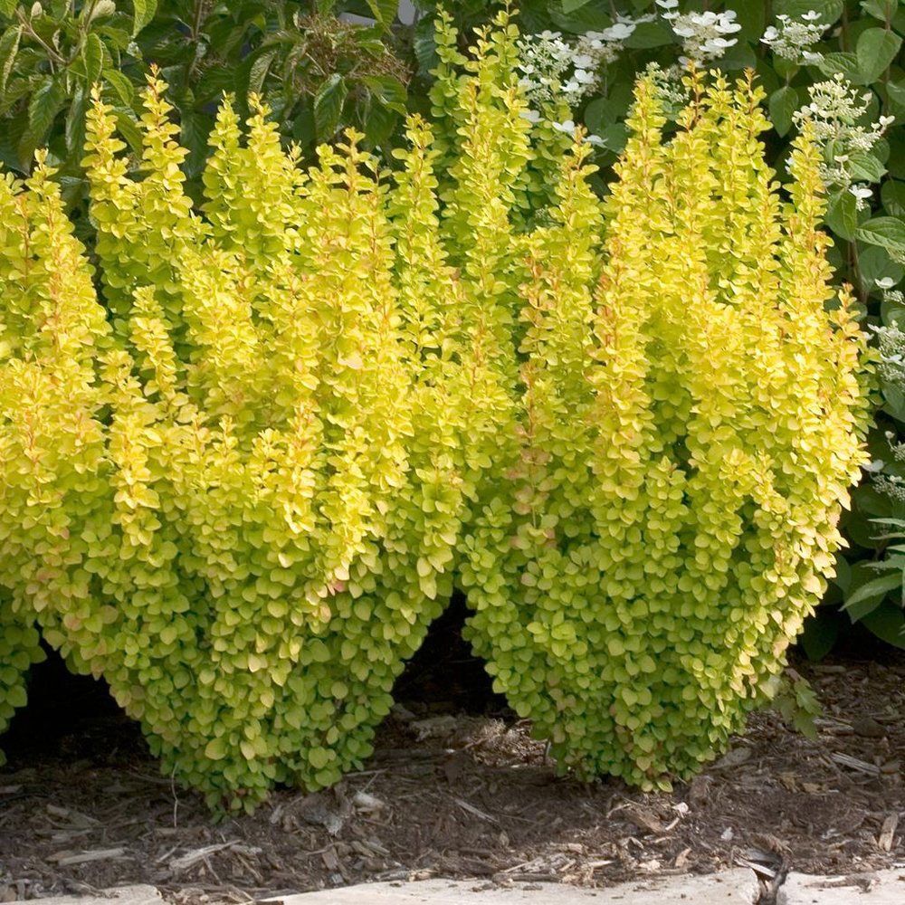 Sunjoy Gold Pillar - Image 2